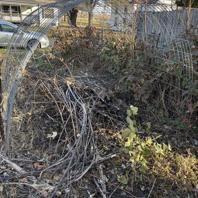 2 Panels 8 Fence Posts