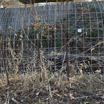 2 Panels 8 Fence Posts