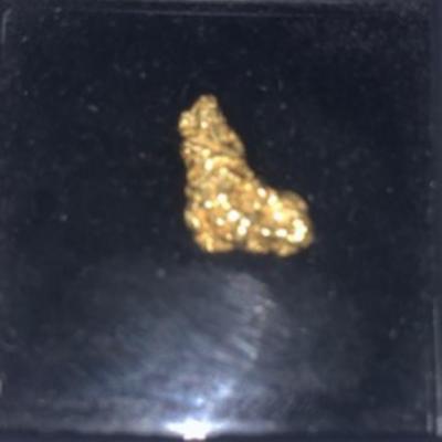 22k Gold Nugget 1.5 Grams