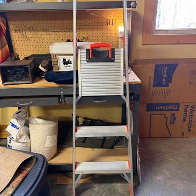 Little Giant Step Ladder