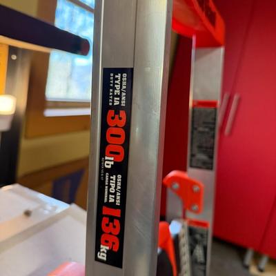 Little Giant Step Ladder