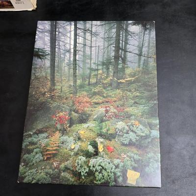 8 vintage puzzles - Westfield - Milton Bradley - Springbrook - Hoyle - Watkins Strathmore - and others