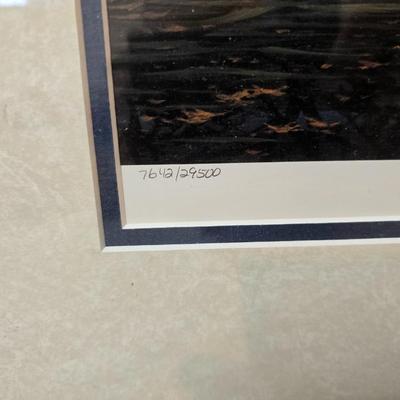 Terry Redlin framed artwork " Above the Fruited Plain" Numbered and Signed with COA on backside 1990