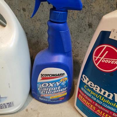 Mostly full bottles of cleaning supplies - Steamvac - Oxy - 409 - Windex and more
