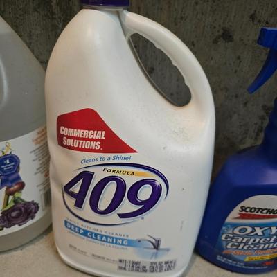 Mostly full bottles of cleaning supplies - Steamvac - Oxy - 409 - Windex and more