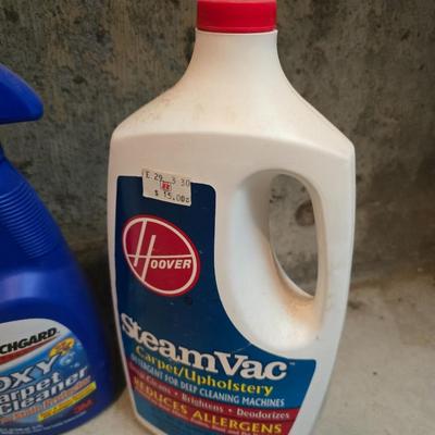 Mostly full bottles of cleaning supplies - Steamvac - Oxy - 409 - Windex and more