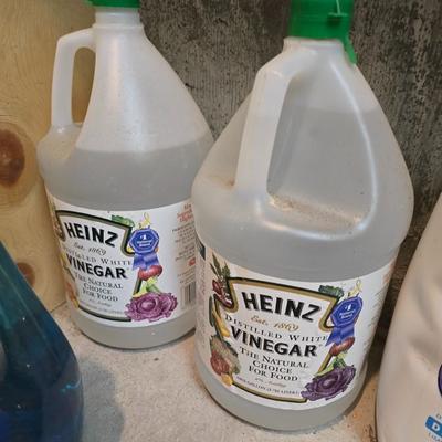 Mostly full bottles of cleaning supplies - Steamvac - Oxy - 409 - Windex and more
