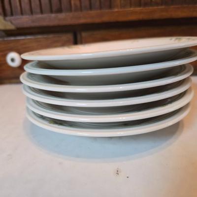 Noritake Versatone Asian Bouquet pattern -Assorted replacement plates & mugs with white corelle bowls