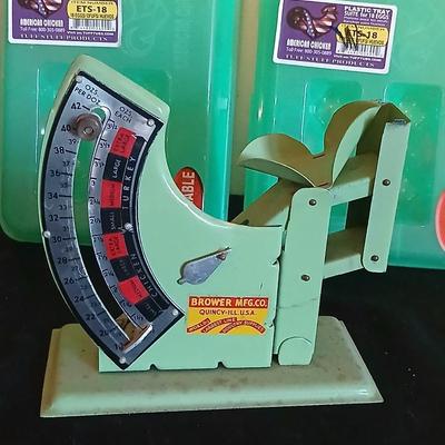 Eggs! Brower Chicken-Turkey Egg Scale / "Jiffy-Way" scale Plastic 18 count egg cartons - -metal egg basket and egg box with...