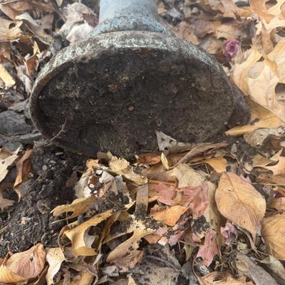 Scalloped Top Metal Bird Bath (BY-JS)