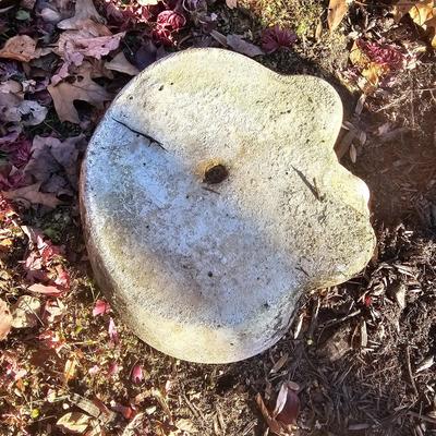 Trio of Concrete Yard Art (BY-JS)