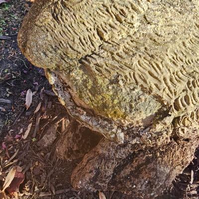 Trio of Concrete Yard Art (BY-JS)