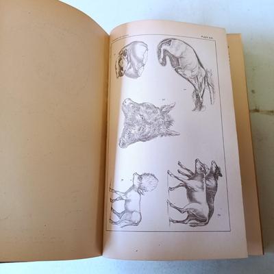 LOT 135: Hand-Body of Ready Reference 1897, Diseases of Cattle 1909, Louden Machinery Co. Catalog 1929 & World of Bees 1965