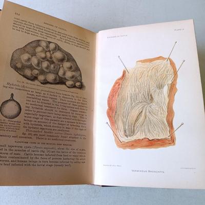 LOT 135: Hand-Body of Ready Reference 1897, Diseases of Cattle 1909, Louden Machinery Co. Catalog 1929 & World of Bees 1965