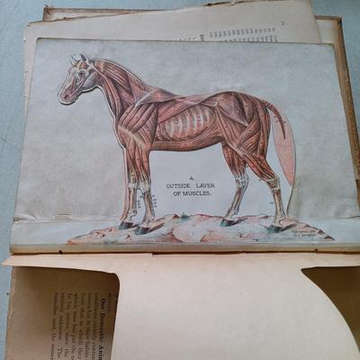 LOT 135: Hand-Body of Ready Reference 1897, Diseases of Cattle 1909, Louden Machinery Co. Catalog 1929 & World of Bees 1965