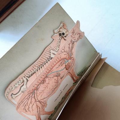 LOT 135: Hand-Body of Ready Reference 1897, Diseases of Cattle 1909, Louden Machinery Co. Catalog 1929 & World of Bees 1965