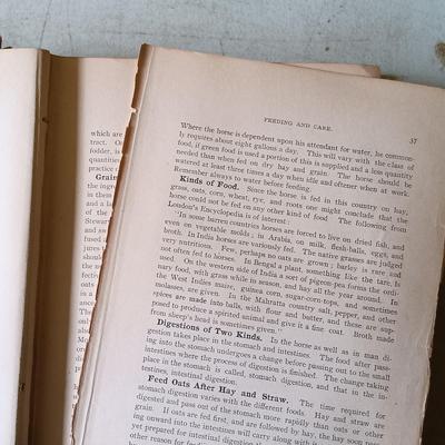 LOT 135: Hand-Body of Ready Reference 1897, Diseases of Cattle 1909, Louden Machinery Co. Catalog 1929 & World of Bees 1965
