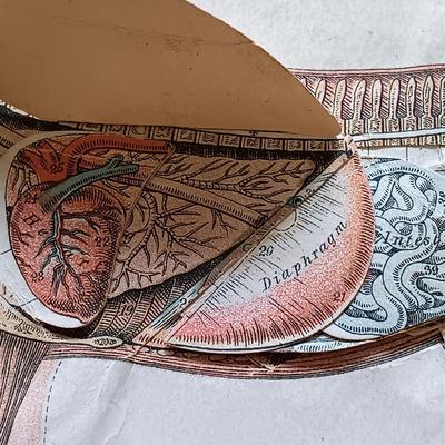 LOT 135: Hand-Body of Ready Reference 1897, Diseases of Cattle 1909, Louden Machinery Co. Catalog 1929 & World of Bees 1965