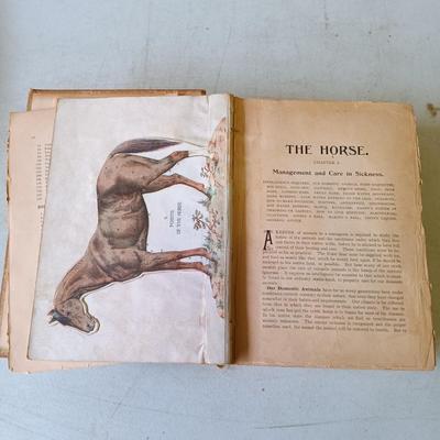 LOT 135: Hand-Body of Ready Reference 1897, Diseases of Cattle 1909, Louden Machinery Co. Catalog 1929 & World of Bees 1965