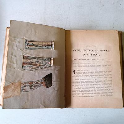 LOT 135: Hand-Body of Ready Reference 1897, Diseases of Cattle 1909, Louden Machinery Co. Catalog 1929 & World of Bees 1965