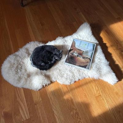 M266 Wool Pelt With Cat Form and The French Cat Book