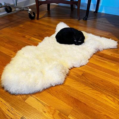 M266 Wool Pelt With Cat Form and The French Cat Book