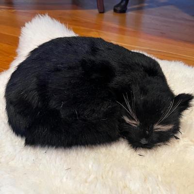 M266 Wool Pelt With Cat Form and The French Cat Book