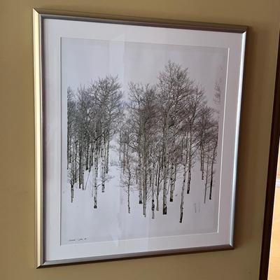 ‘Aspen Grove’ - Dick Cunningham Framed Photograph (BPR-RG)