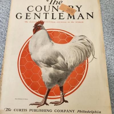 Sale Photo Thumbnail #325