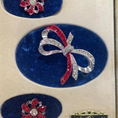 Jewels by Rapallo pin and clip ons