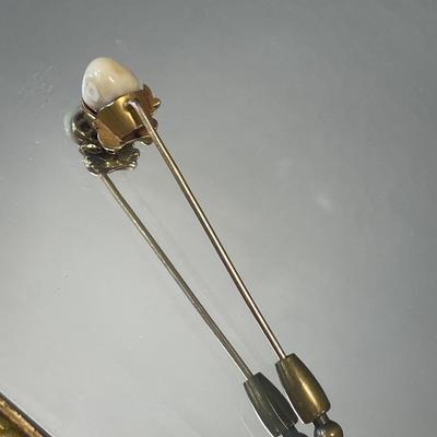 BPOE Elk tooth pendant and pin