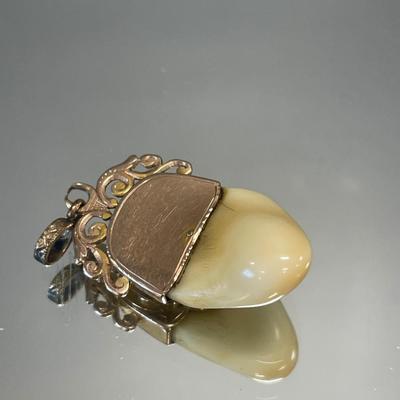 BPOE Elk tooth pendant and pin