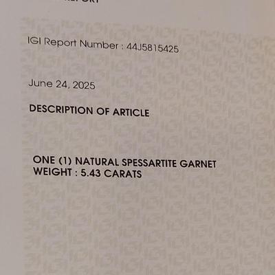 IGI CERTIFIED NATURAL GARNET