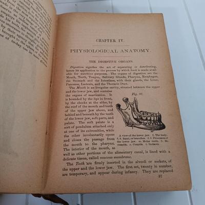 Sale Photo Thumbnail #347