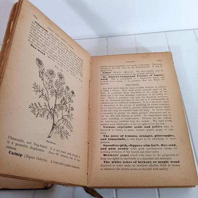 Sale Photo Thumbnail #348