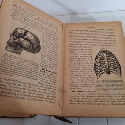 Sale Photo Thumbnail #346