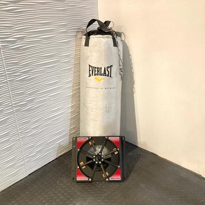 LOT 45: Everlast Fitness / Workout / Boxing Bag with First Law Fitness Spider Mount