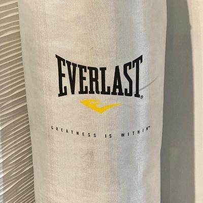 LOT 45: Everlast Fitness / Workout / Boxing Bag with First Law Fitness Spider Mount