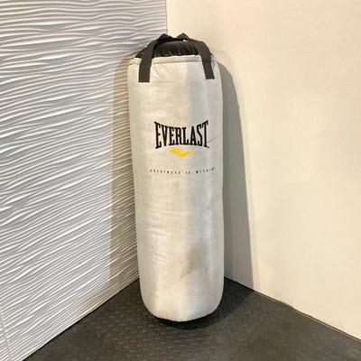 LOT 45: Everlast Fitness / Workout / Boxing Bag with First Law Fitness Spider Mount