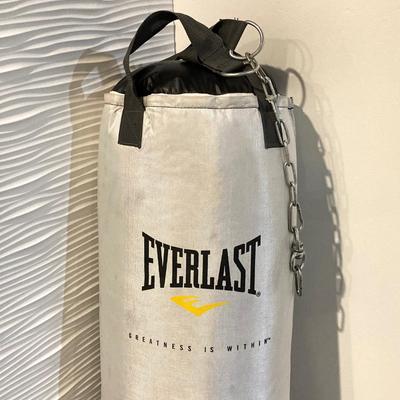 LOT 45: Everlast Fitness / Workout / Boxing Bag with First Law Fitness Spider Mount