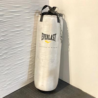 LOT 45: Everlast Fitness / Workout / Boxing Bag with First Law Fitness Spider Mount