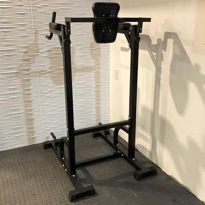 LOT 46: CityBirds Adjustable Fitness Equipment