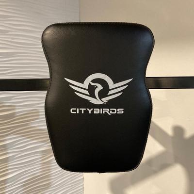 LOT 46: CityBirds Adjustable Fitness Equipment