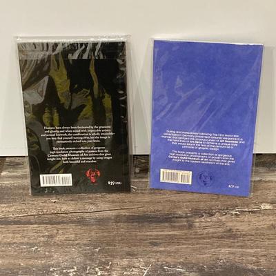 LOT 51: Pair of Abstract Painting Work of Art, Thomas Negovan Books on German Art Deco / Rare and Peculiar Posters and More