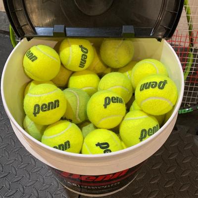 LOT 65: Tennis and Raquetball Collection - Wilson Raquets, Bucket of Penn Balls and Wilson 75 Pick Up Ball Carrier / Holder