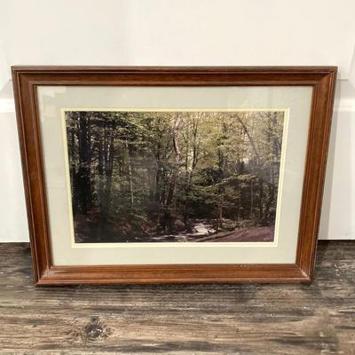 LOT 66: Pair of Framed Scenic Landscape Photographs