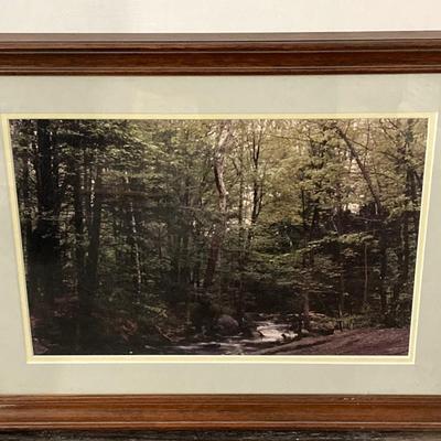 LOT 66: Pair of Framed Scenic Landscape Photographs