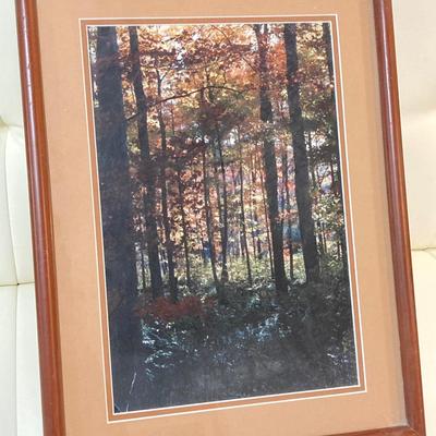 LOT 66: Pair of Framed Scenic Landscape Photographs