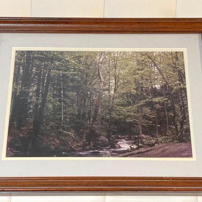 LOT 66: Pair of Framed Scenic Landscape Photographs