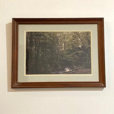 LOT 66: Pair of Framed Scenic Landscape Photographs